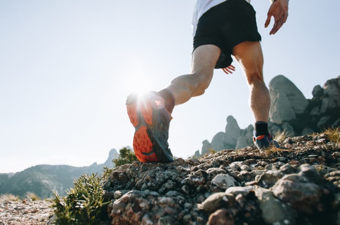 The ://vital-mag.net Blog